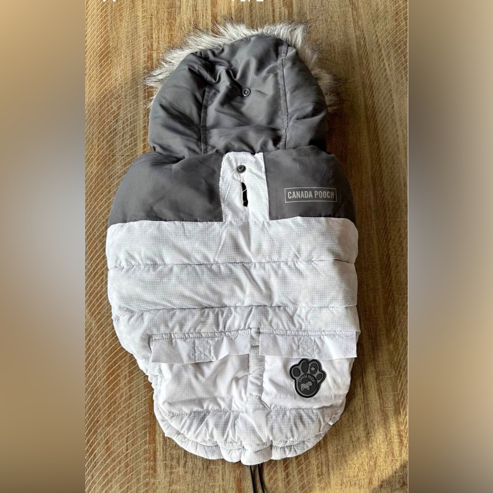 Gray and White Dog Jacket